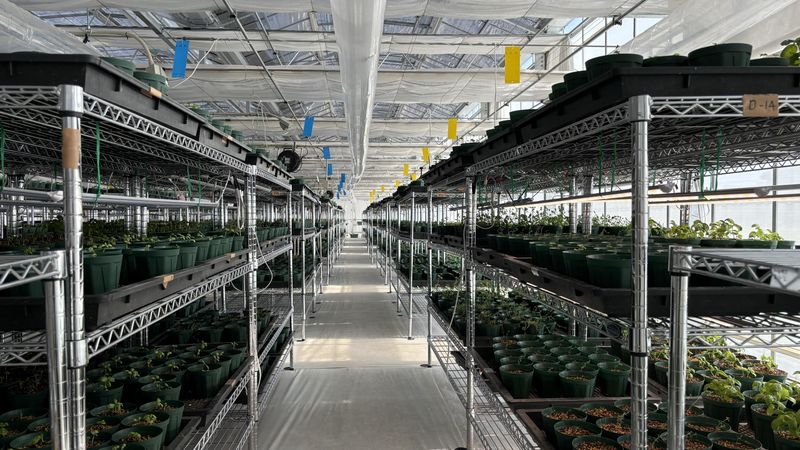 障害者雇用めぐるファーム(新百合丘農園)の求人・転職情報-04