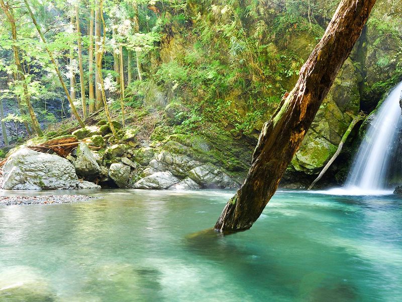 奈良県川上村役場