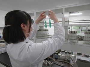 伊藤ハム米久フーズ株式会社の求人・転職情報