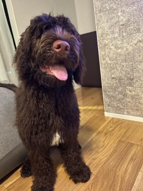 株式会社向上恒産　資材置場のアルバイト・バイト求人情報-02