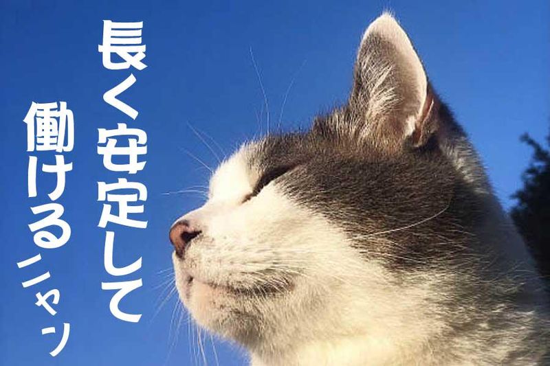 株式会社 メッセの求人・転職情報