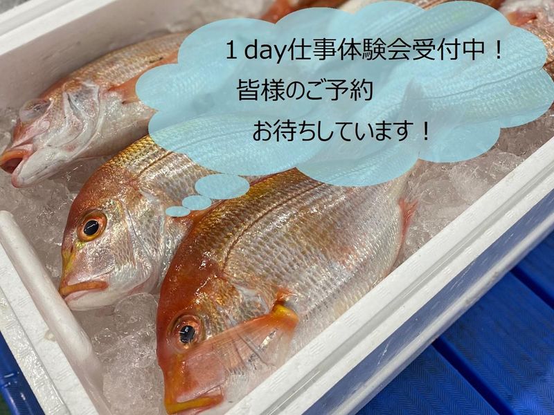 【web】水産物のせり売りや商談を体験できる水産営業体験会