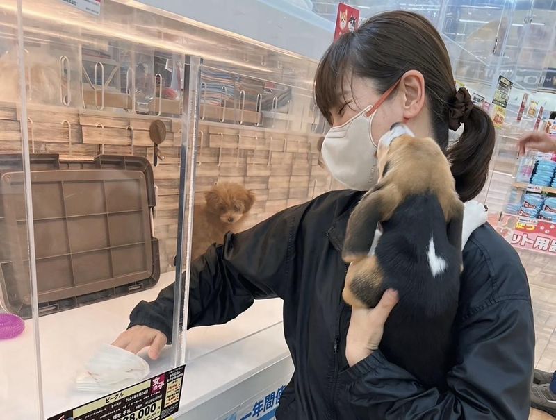 スーパービバホーム長久手店のアルバイト・バイト求人情報-03