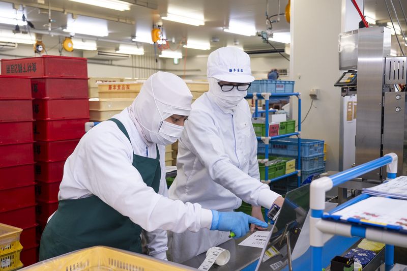 藤本食品株式会社の求人・転職情報