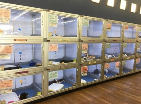 Coo&RIKU(クーアンドリク)　大分店のアルバイト・バイト求人情報-05