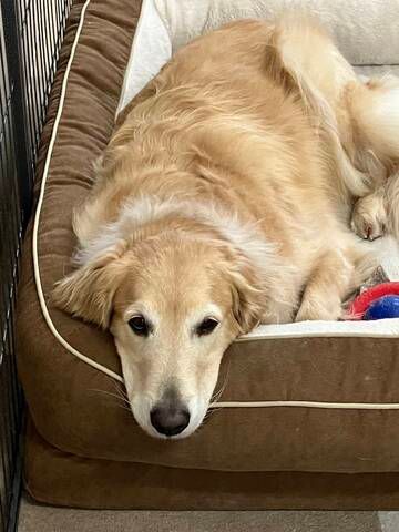 医療法人悠悠堂　サービス付き高齢者向け住宅雅の四季のアルバイト・バイト求人情報-02