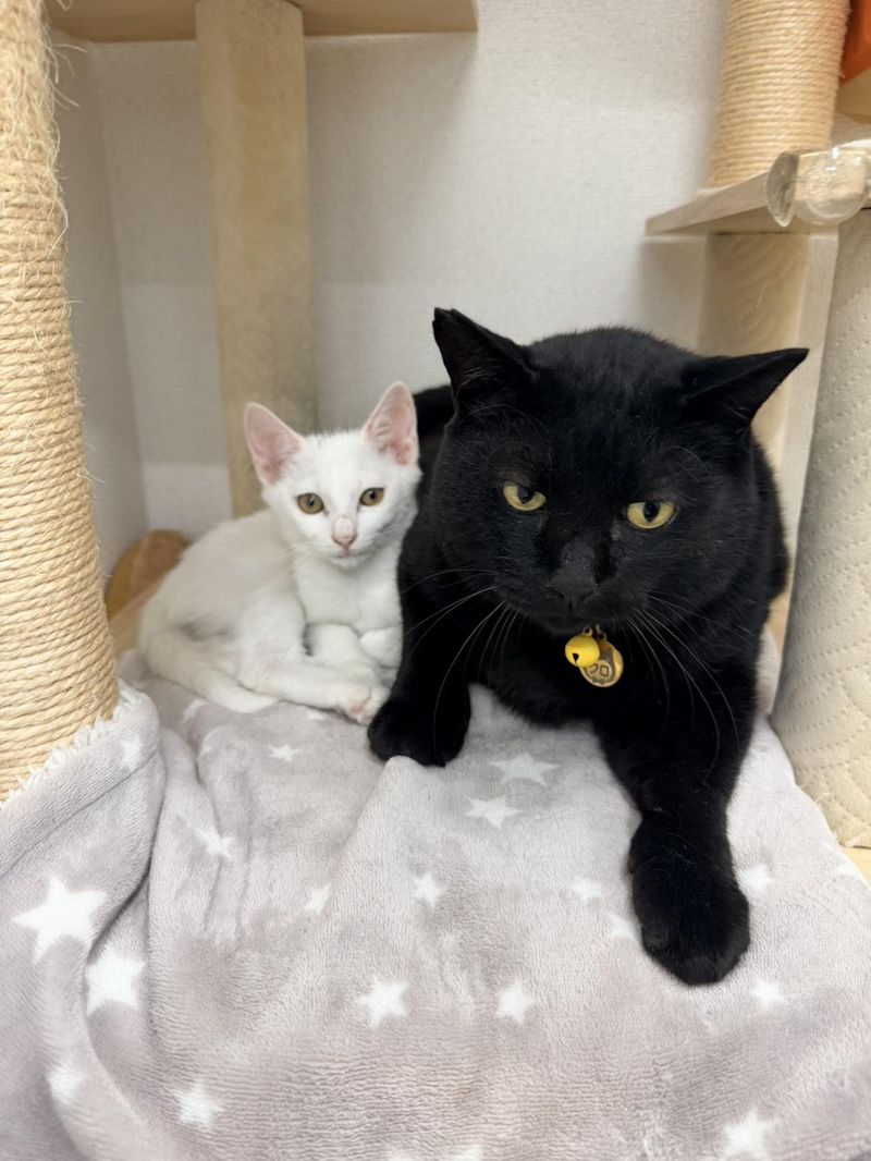 株式会社R-oneの求人・転職情報