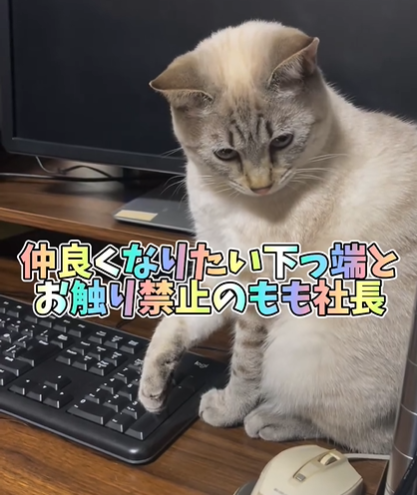 森写真工房のアルバイト・バイト求人情報-03