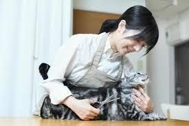 株式会社ケイアンドケイの求人・転職情報