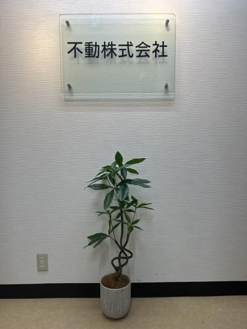 不動株式会社の求人・転職情報