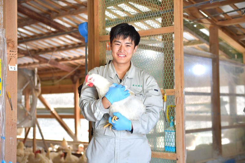 深川養鶏農業協同組合　美東農場の派遣求人情報