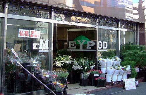 有限会社モンキーポッドの求人・転職情報