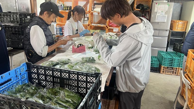 株式会社ぎばさん　八木ファーム(当社農場)のアルバイト・バイト求人情報-02