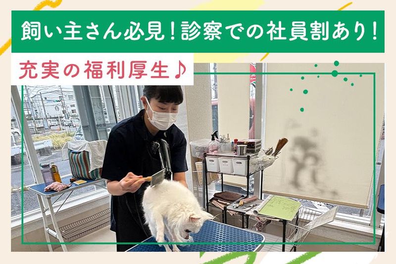 モリヤ動物病院　つきみ野のアルバイト・バイト求人情報-04