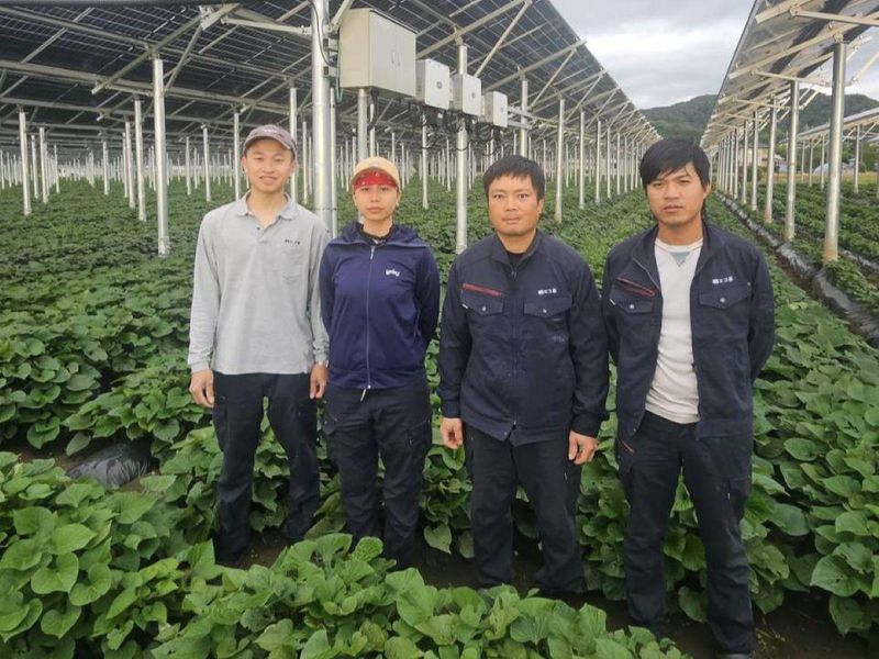 株式会社エコ革の求人・転職情報