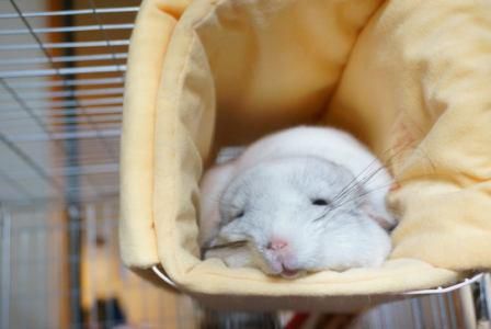 株式会社ワンキャビン