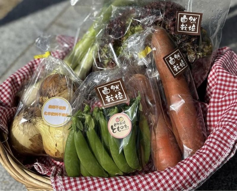 株式会社ストレートアライブ 障害者就労継続支援事業所(A型)とものわ