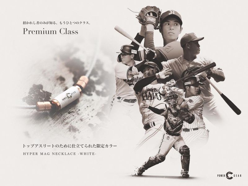 パワードギア株式会社の求人・転職情報