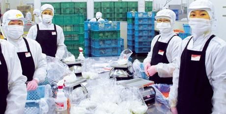 株式会社オーシャンシステムの求人・転職情報