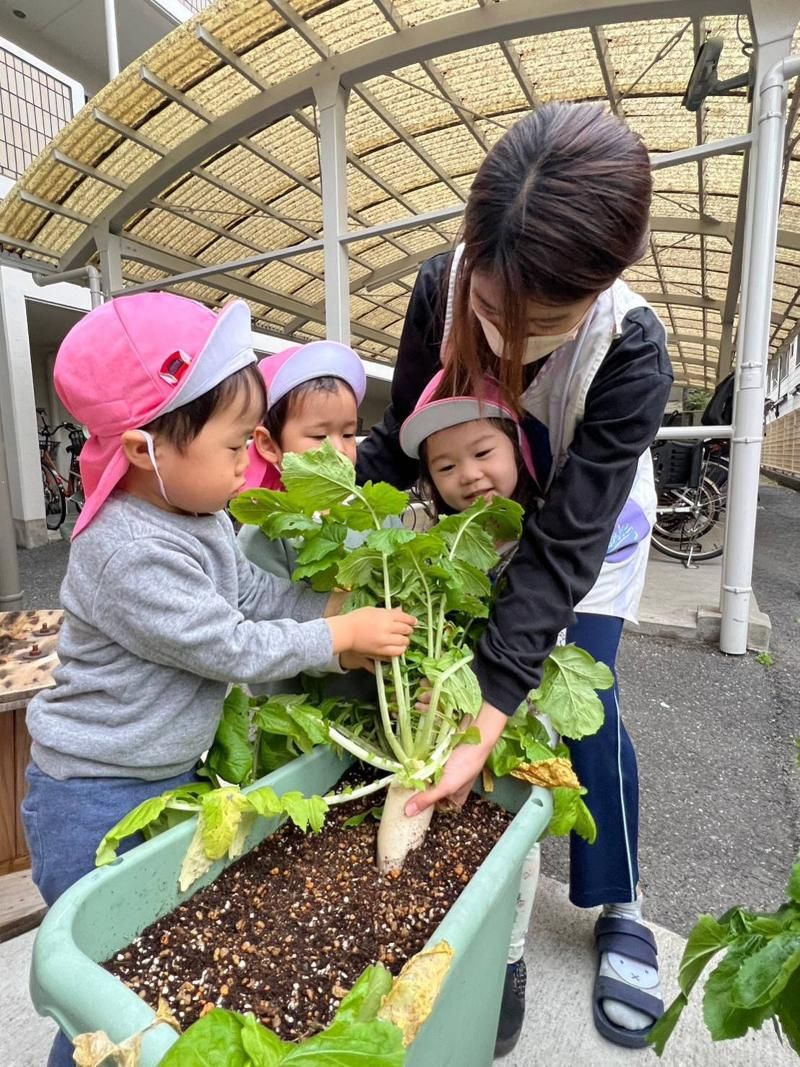 きらぼし保育園(生野園)の求人情報