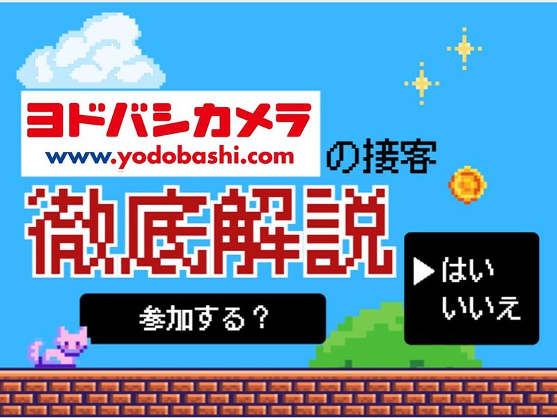 株式会社ヨドバシカメラ