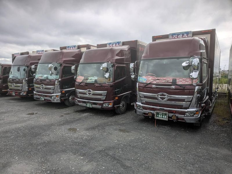 株式会社丸心物流の求人・転職情報