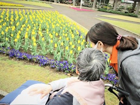 社会福祉法人 桐和会　タムスさくらの杜 道合の求人情報