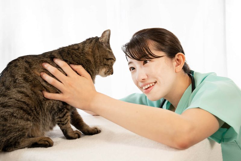 有限会社あさひ町動物病院の求人・転職情報