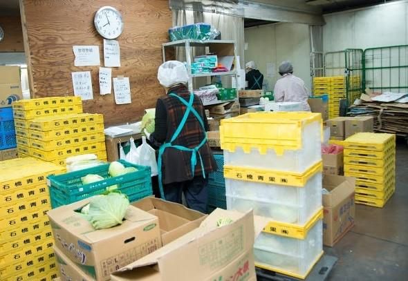 石橋青果株式会社のアルバイト・バイト求人情報-02