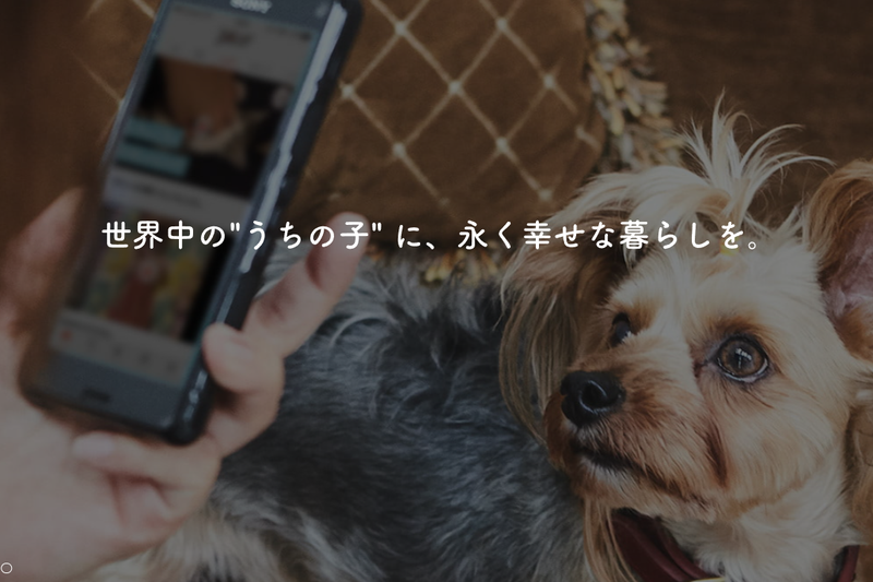 株式会社PECOのアルバイト・バイト求人情報-04