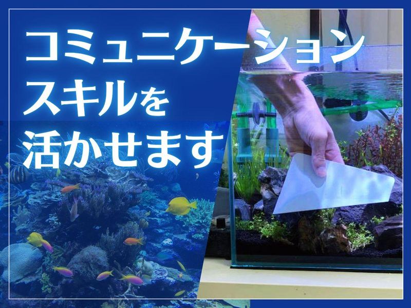 株式会社水槽の求人・転職情報