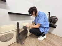 有限会社大浩商事 Kitty Farm Ishiokaのアルバイト・バイト求人情報-03