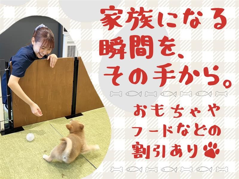 株式会社犬の家の求人・転職情報