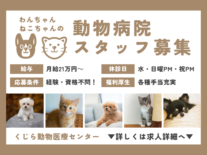 株式会社Ｋ＆Ｔの求人・転職情報