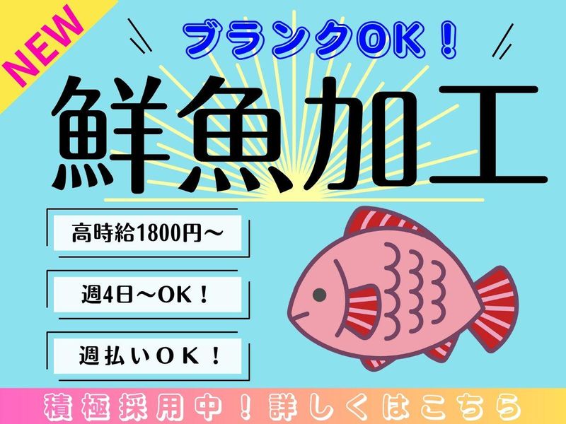 株式会社OG/船橋案件の派遣求人情報
