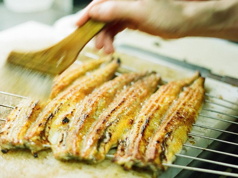 炭焼うな富士 東京オペラシティ店のアルバイト・バイト求人情報-03