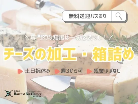 株式会社Harvest Biz Careerのアルバイト・バイト求人情報