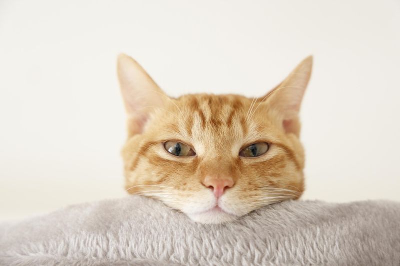 株式会社フェローズ　札幌支店のアルバイト・バイト求人情報-08