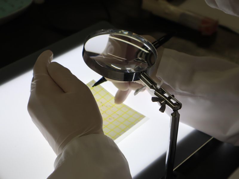 極洋フレッシュ株式会社のアルバイト・バイト求人情報-05