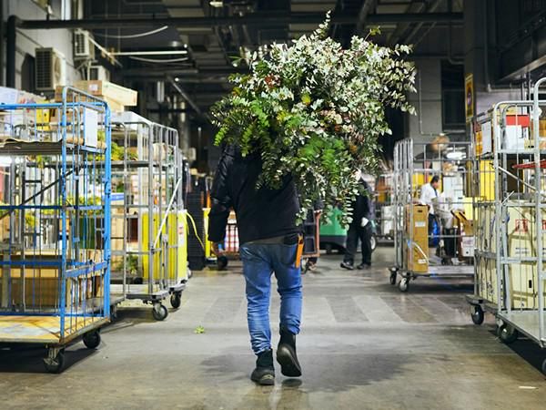 株式会社宮本生花の求人情報