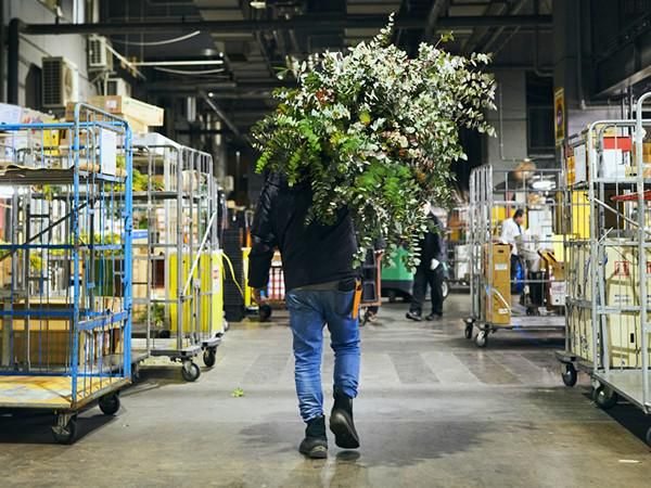 生花仲卸会社でのルート配送・倉庫作業・販売・将来はバイヤーへ