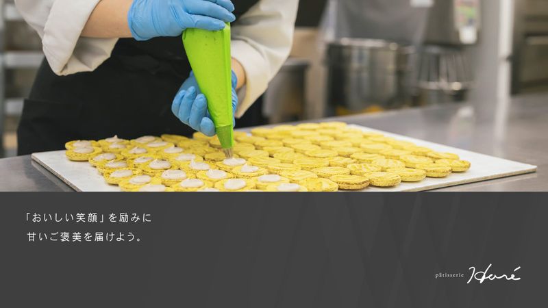 株式会社アッシュの求人・転職情報