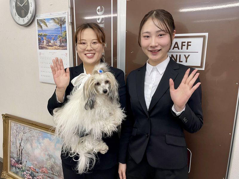 株式会社エスビジョンエンタープライズの求人・転職情報