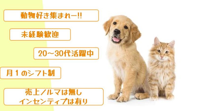 ホームセンタームサシ 仙台泉店のアルバイト・バイト求人情報-07