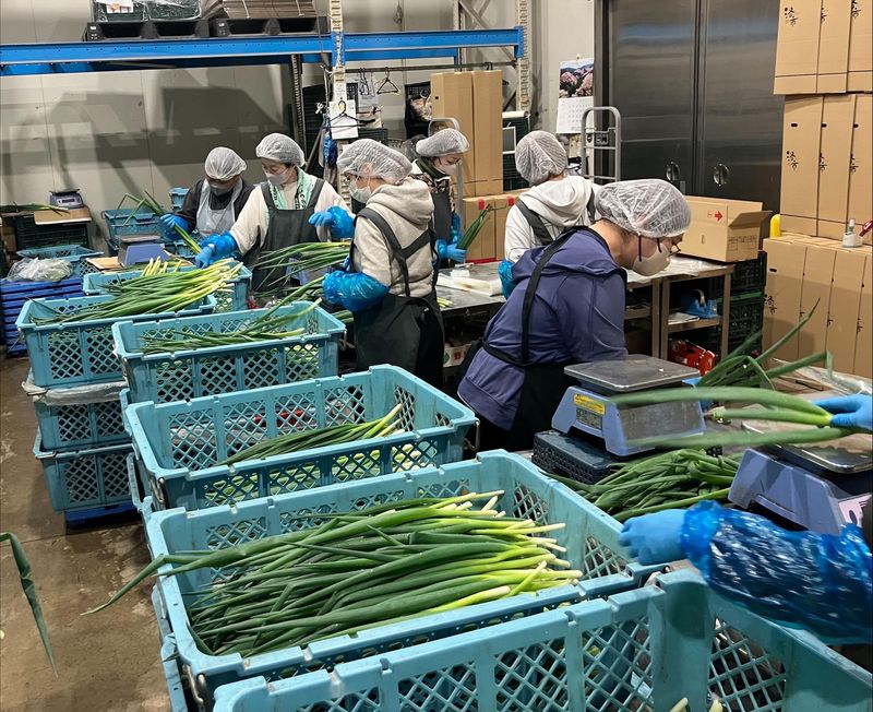 株式会社トレードの求人情報