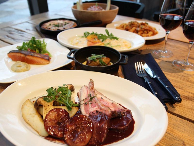 株式会社バルニバービウィルワークス-0050の求人・転職情報