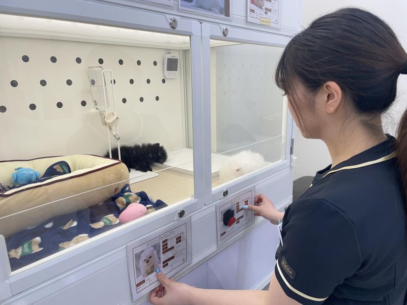 Cattleya　池袋店のアルバイト・バイト求人情報-04