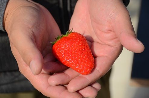 JA静岡市　無料職業紹介所のアルバイト・バイト求人情報-02