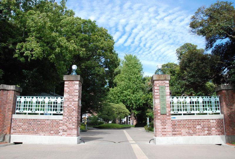 国立大学法人 東京芸術大学