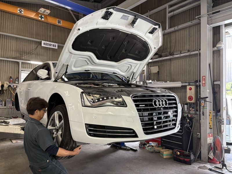 株式会社ワイズモータースの求人・転職情報